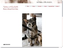 Tablet Screenshot of africanexoticssavannahs.com